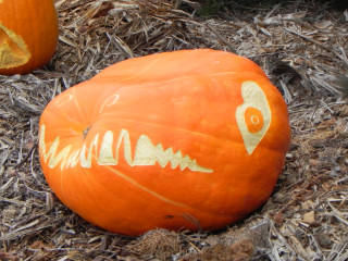 Friendly Dino, Nipomo Pumpkin Patch best carving idea
